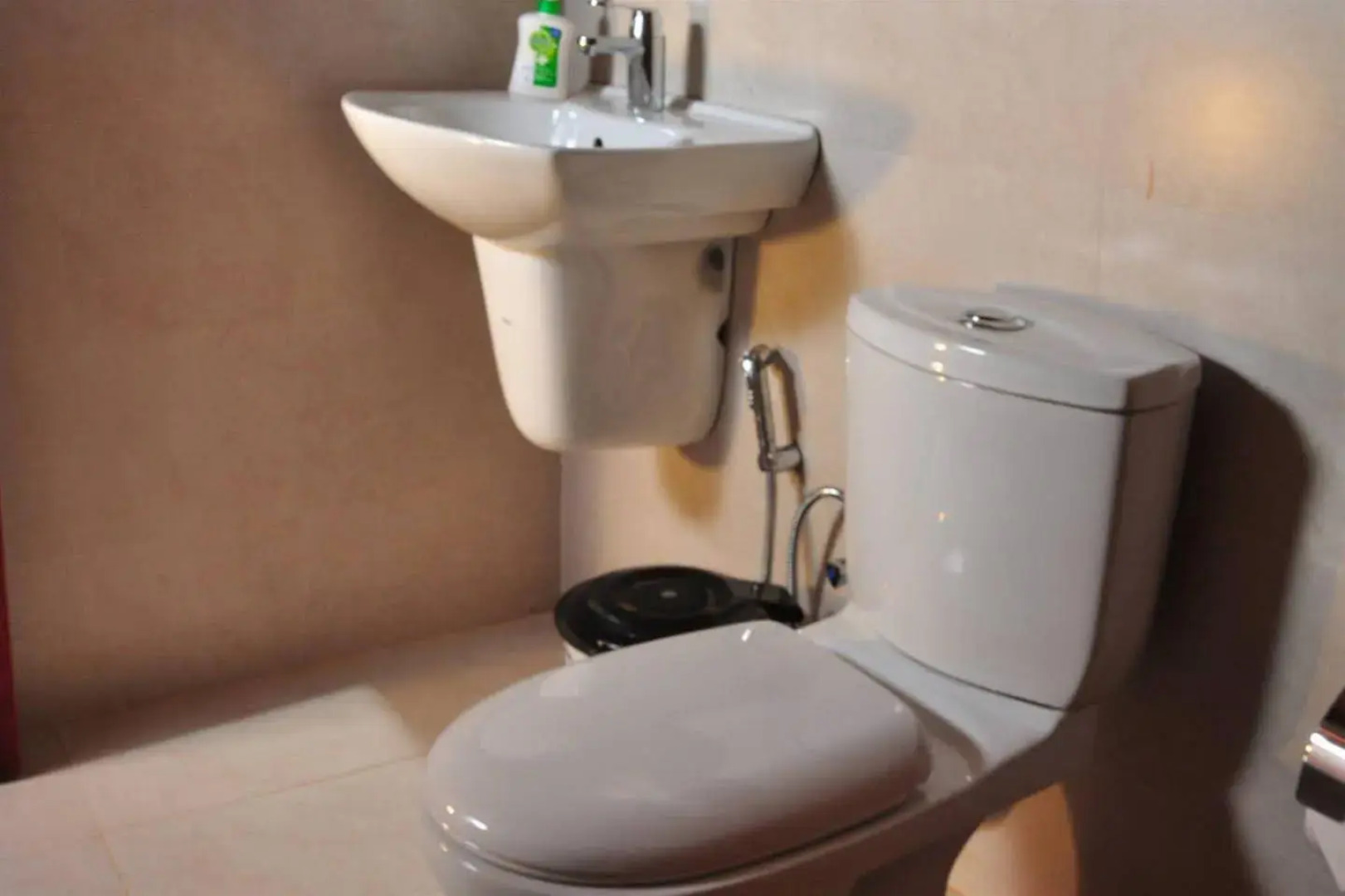 The Woods Resorts Wayanad