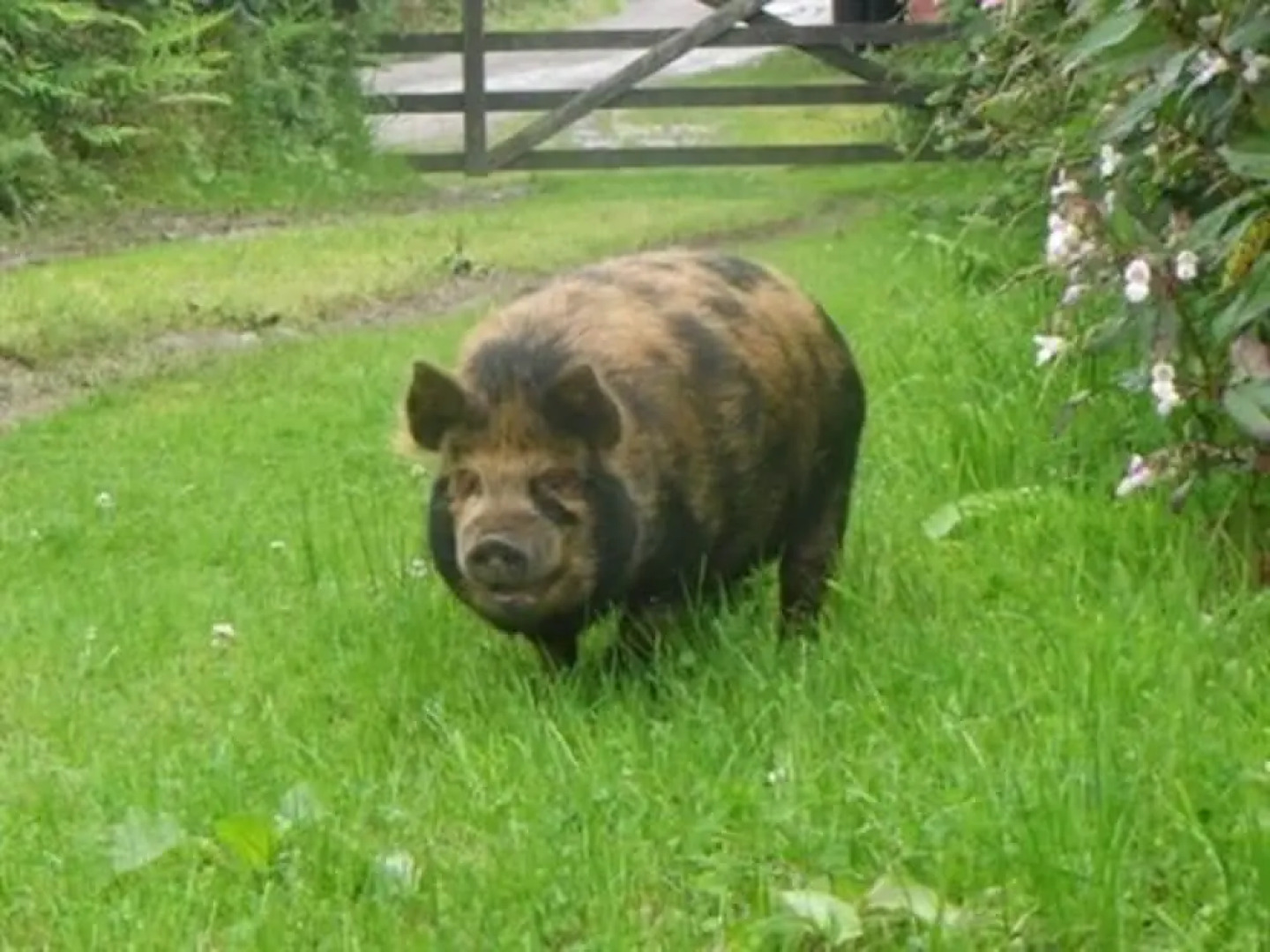 Headgate Farm Bed and Breakfast