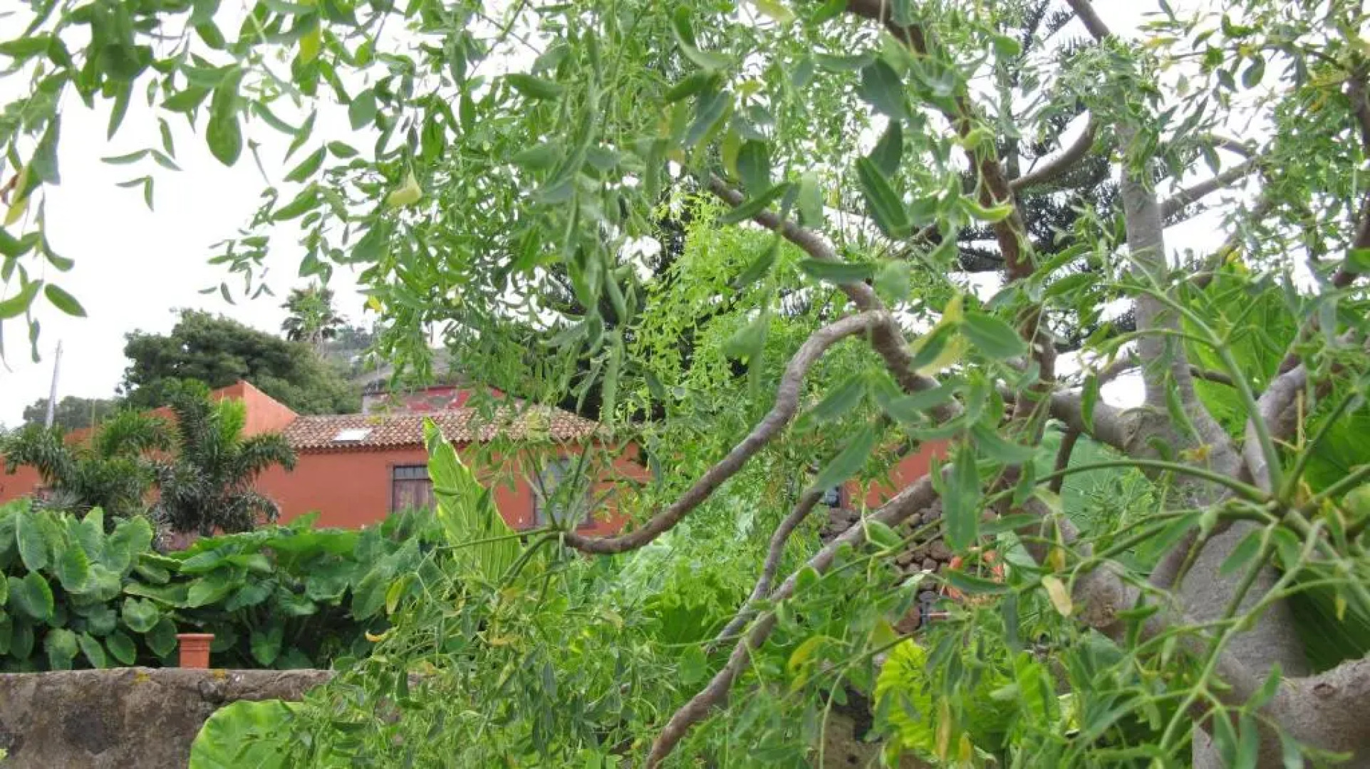 Haciendas del Valle - Las Kentias