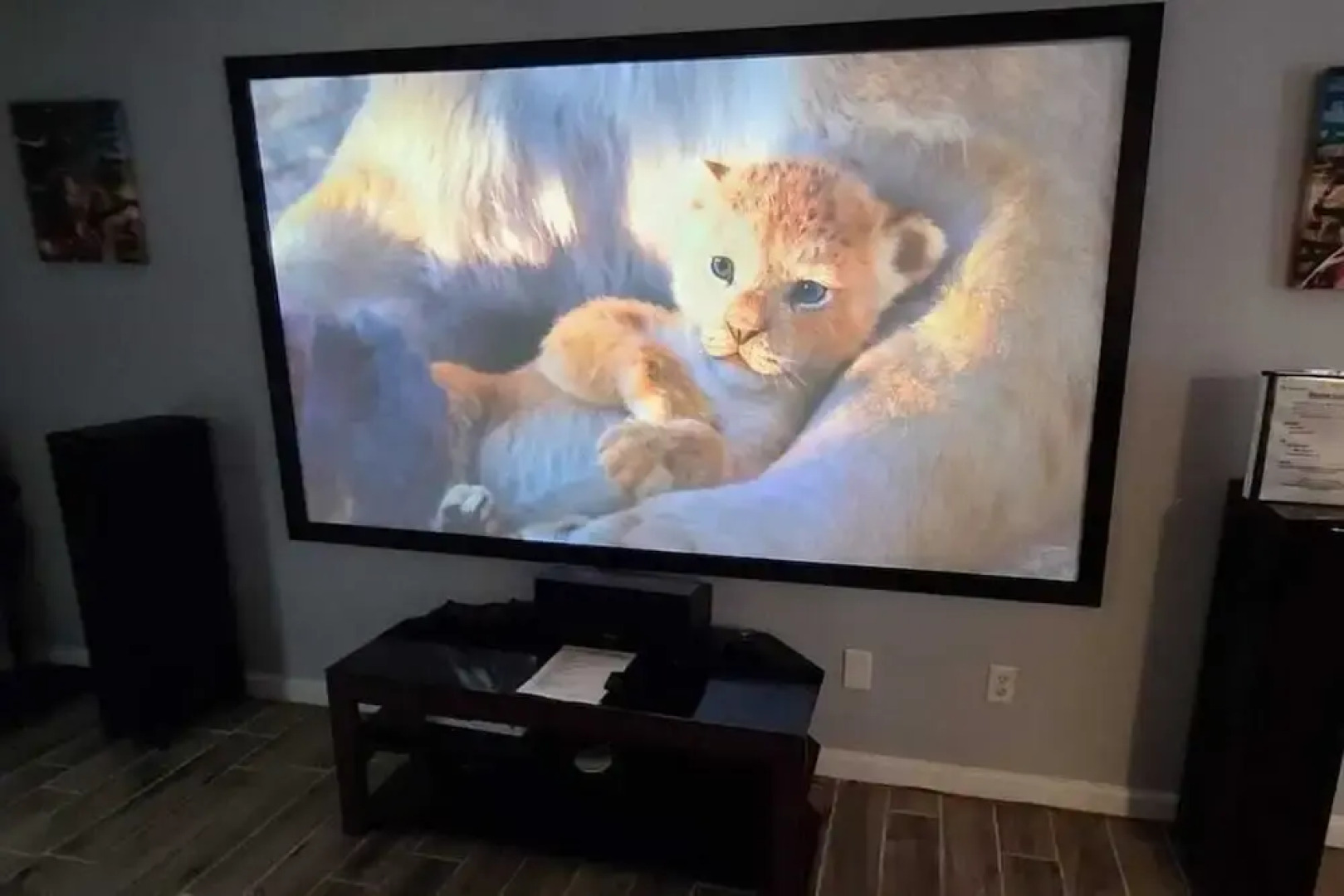 Heated Pool, Jacuzzi & Sauna! Tampa, FL