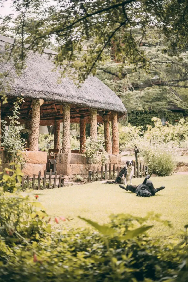 Wyndford Holiday Farm - All Inclusive