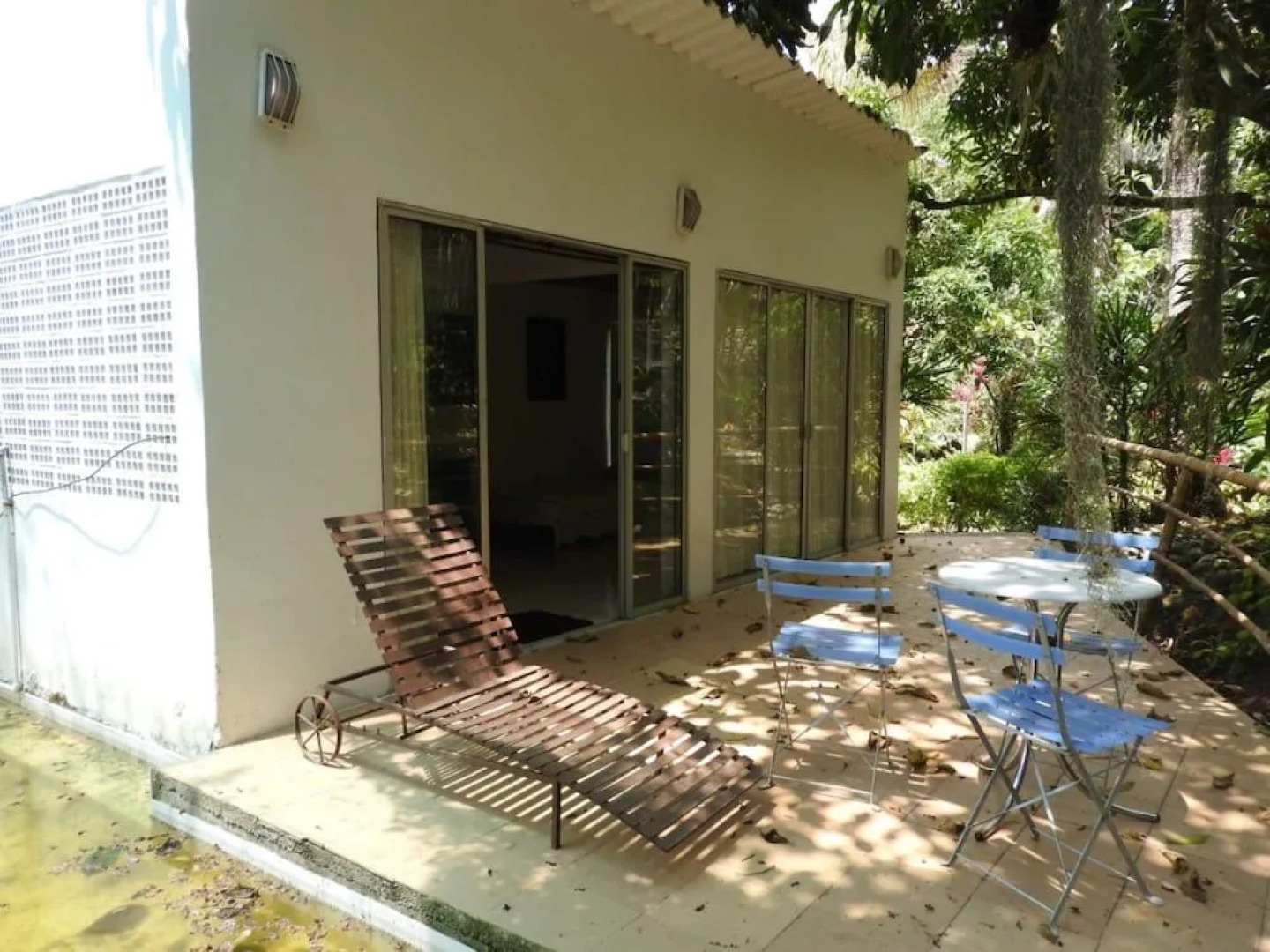 Orquideas del Tolima