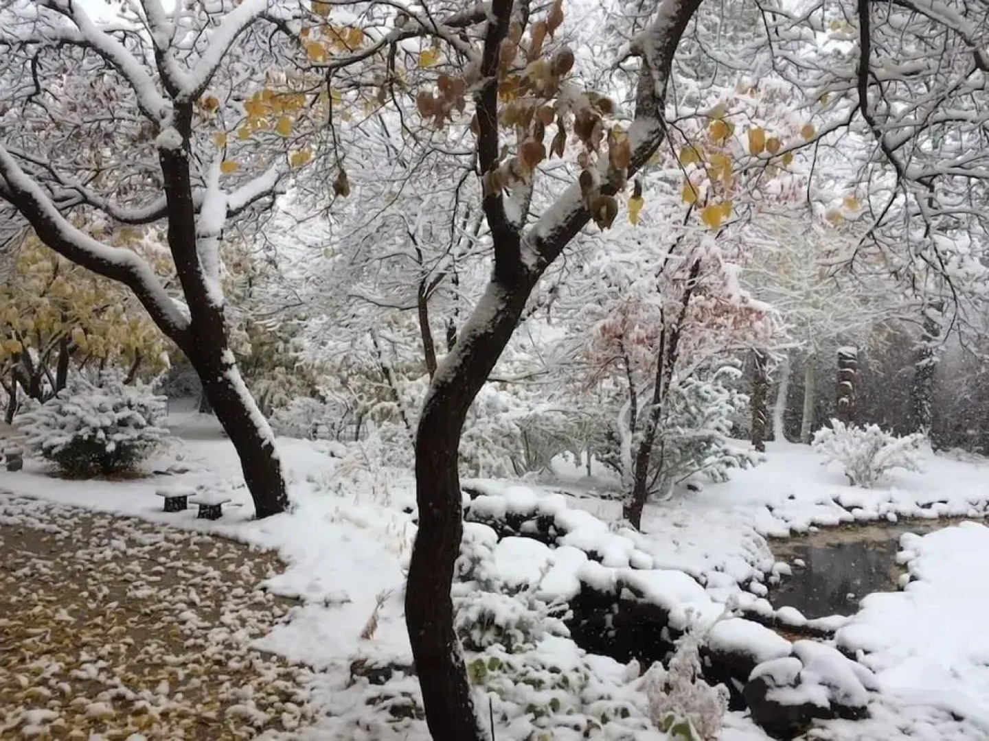 Chic Waterfall Suite At Lumina Gardens W/ Hot Tub Studio Bedroom Cottage