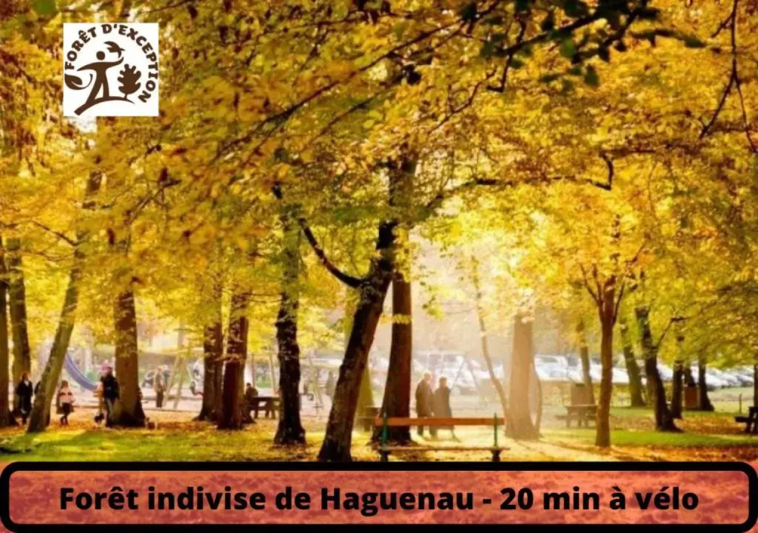 Le Cosy - Cœur de Ville - Wifi THD - 4 Pers