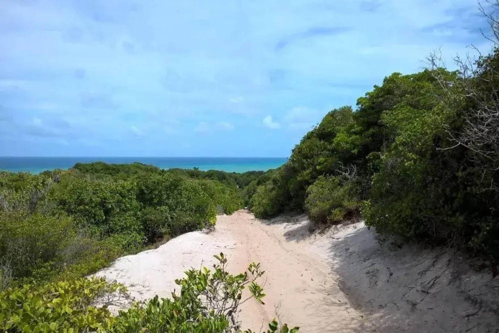 Pousada Flor Do Caribe