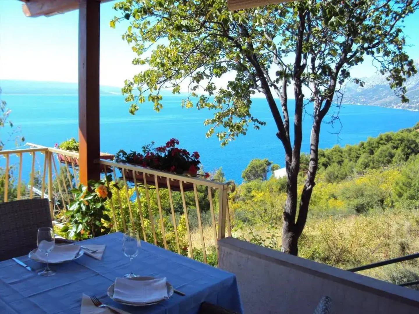 Guest House Vineyard oaza