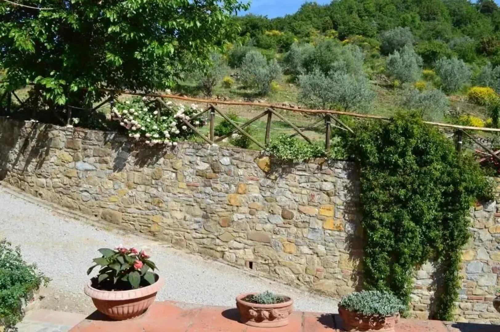 Agriturismo Podere Terrena
