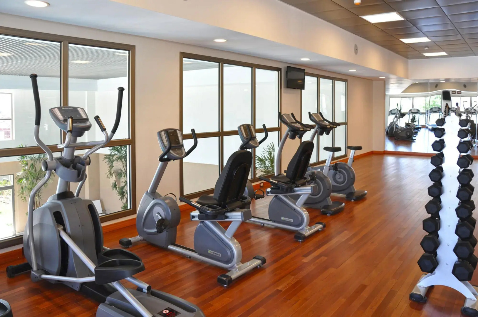 Gran Amérian Carlos V