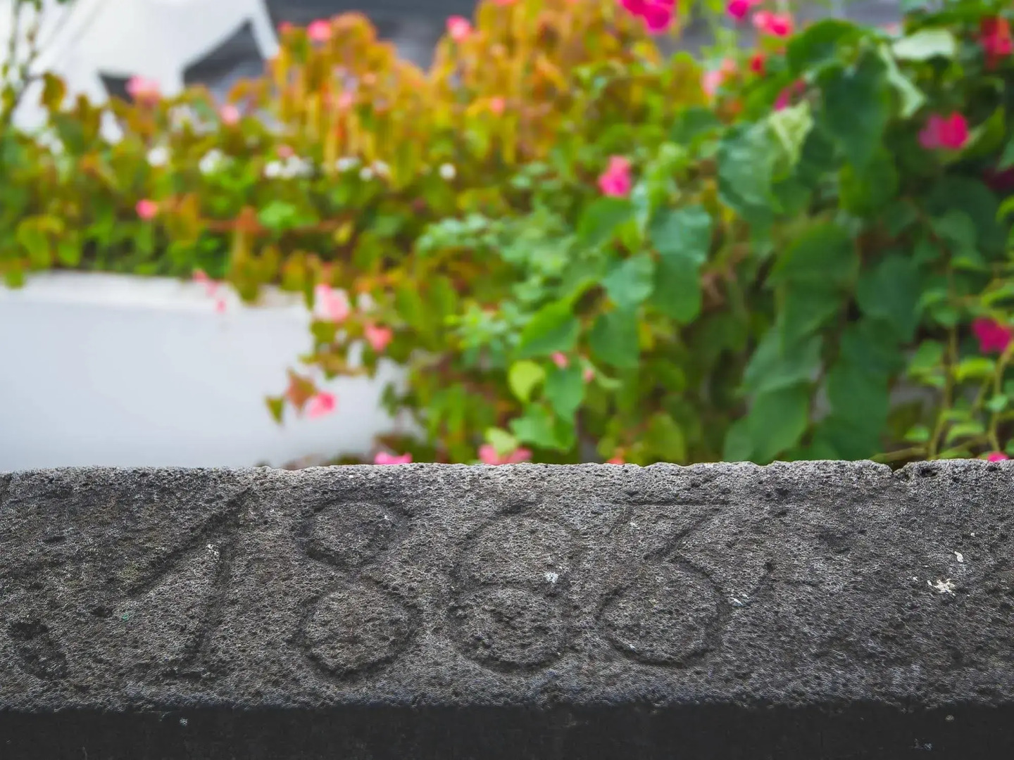 Comercial Boutique Azores