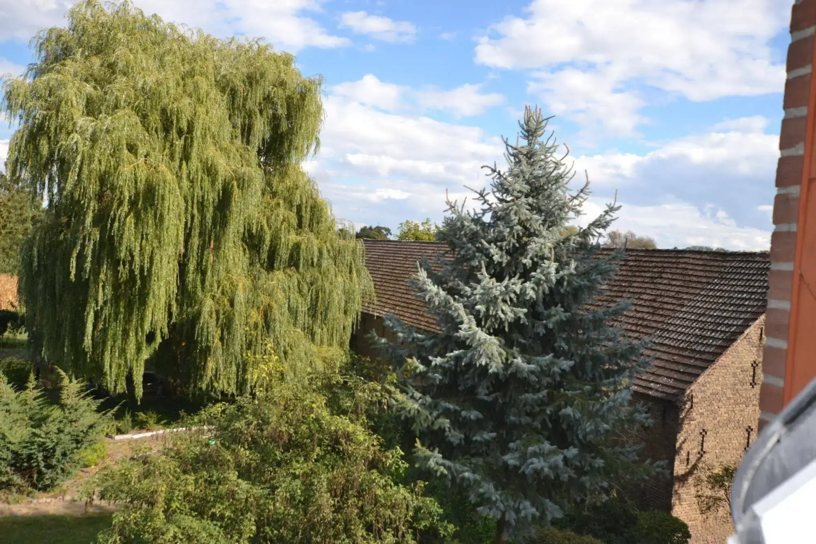 pur NATUR & berlin ALEX 40min.