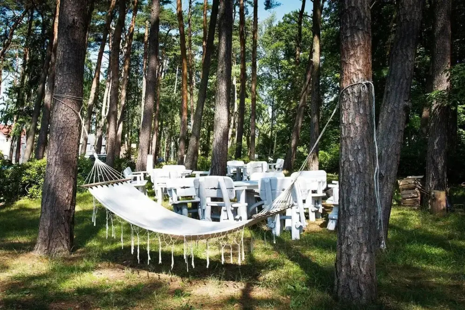 Willa Alexander Resort & SPA