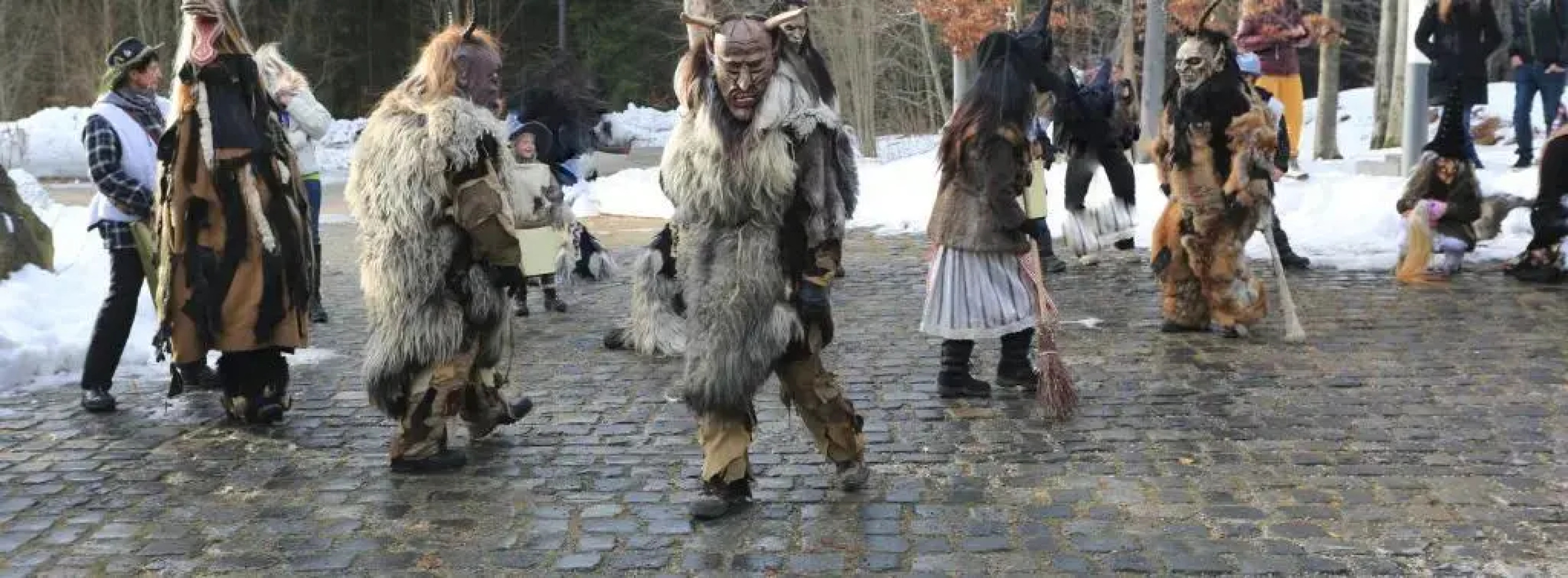 Ferienwohnung im Landhaus am Nationalpark