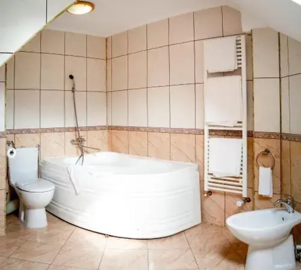Hotel Crocus