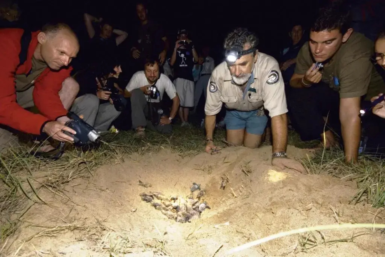 Koola Beach Apartments Bargara