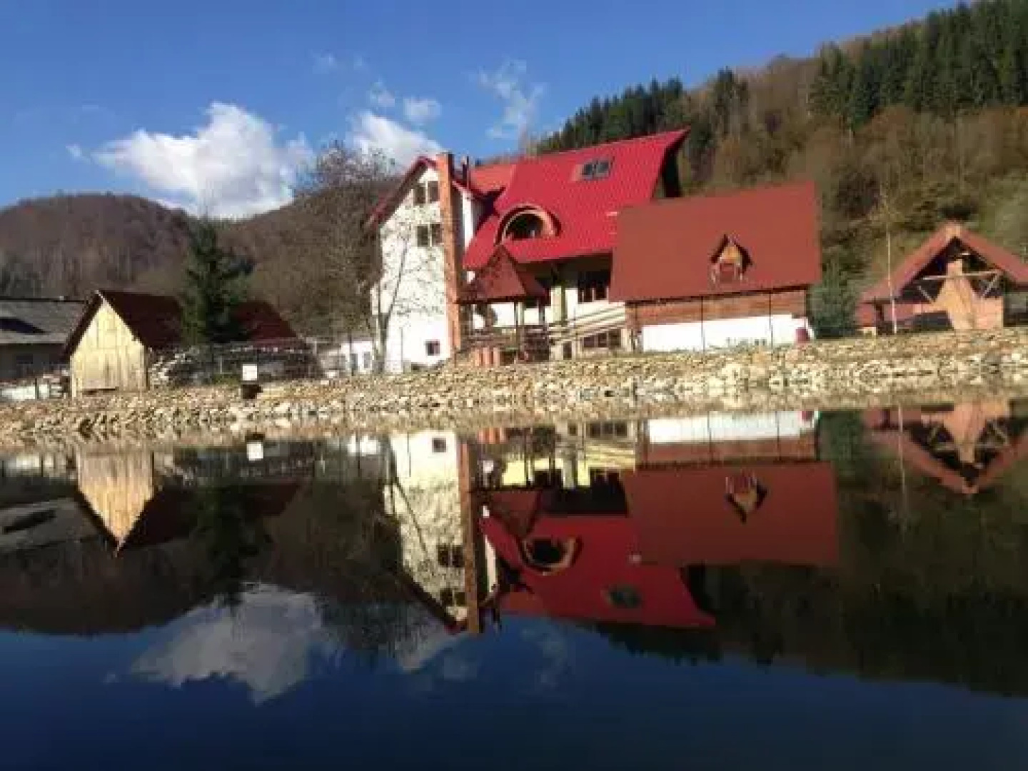 Pensiunea Vidra de Sus