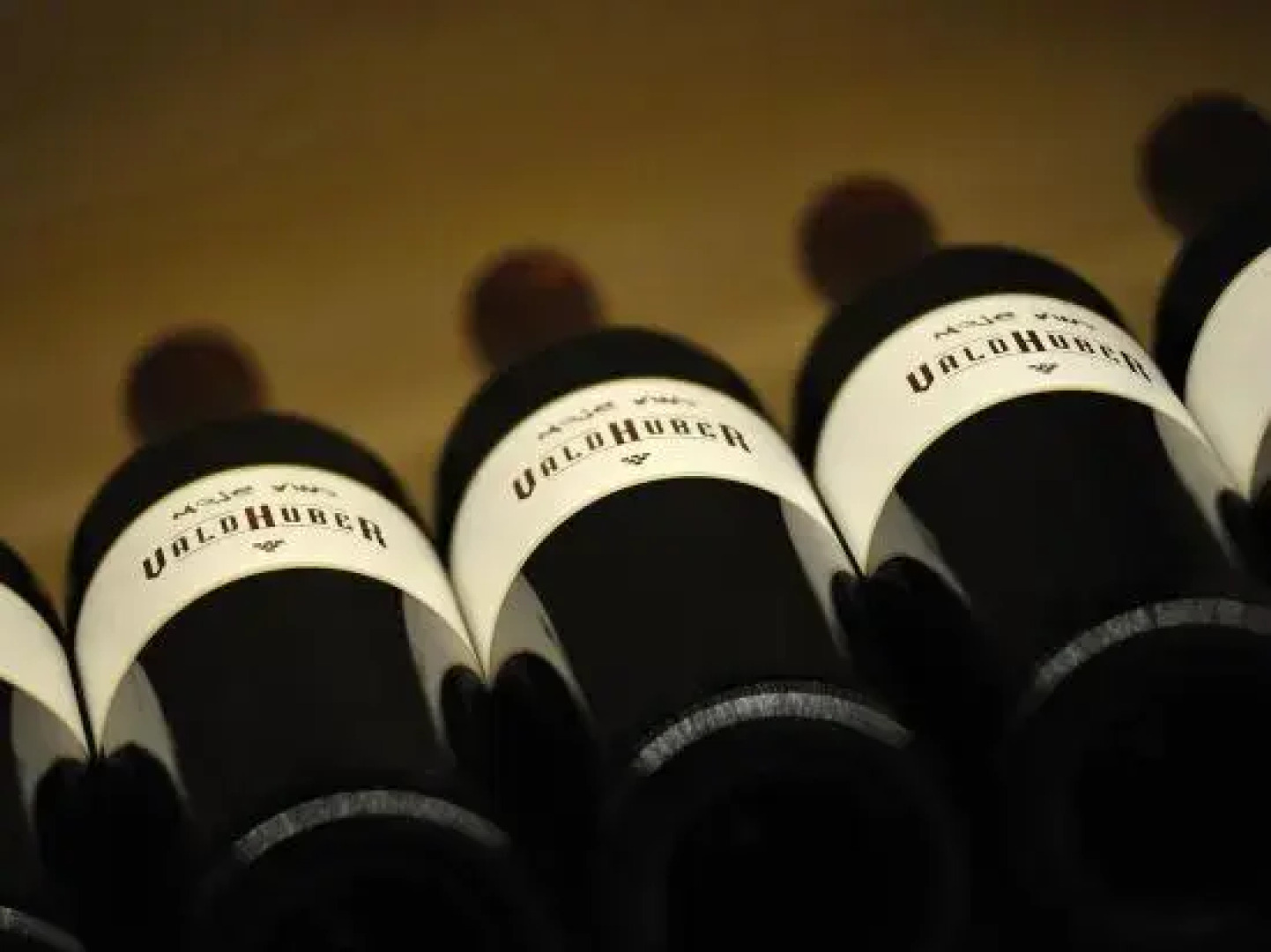 Wine & Tourisam Valdhuber Apartments