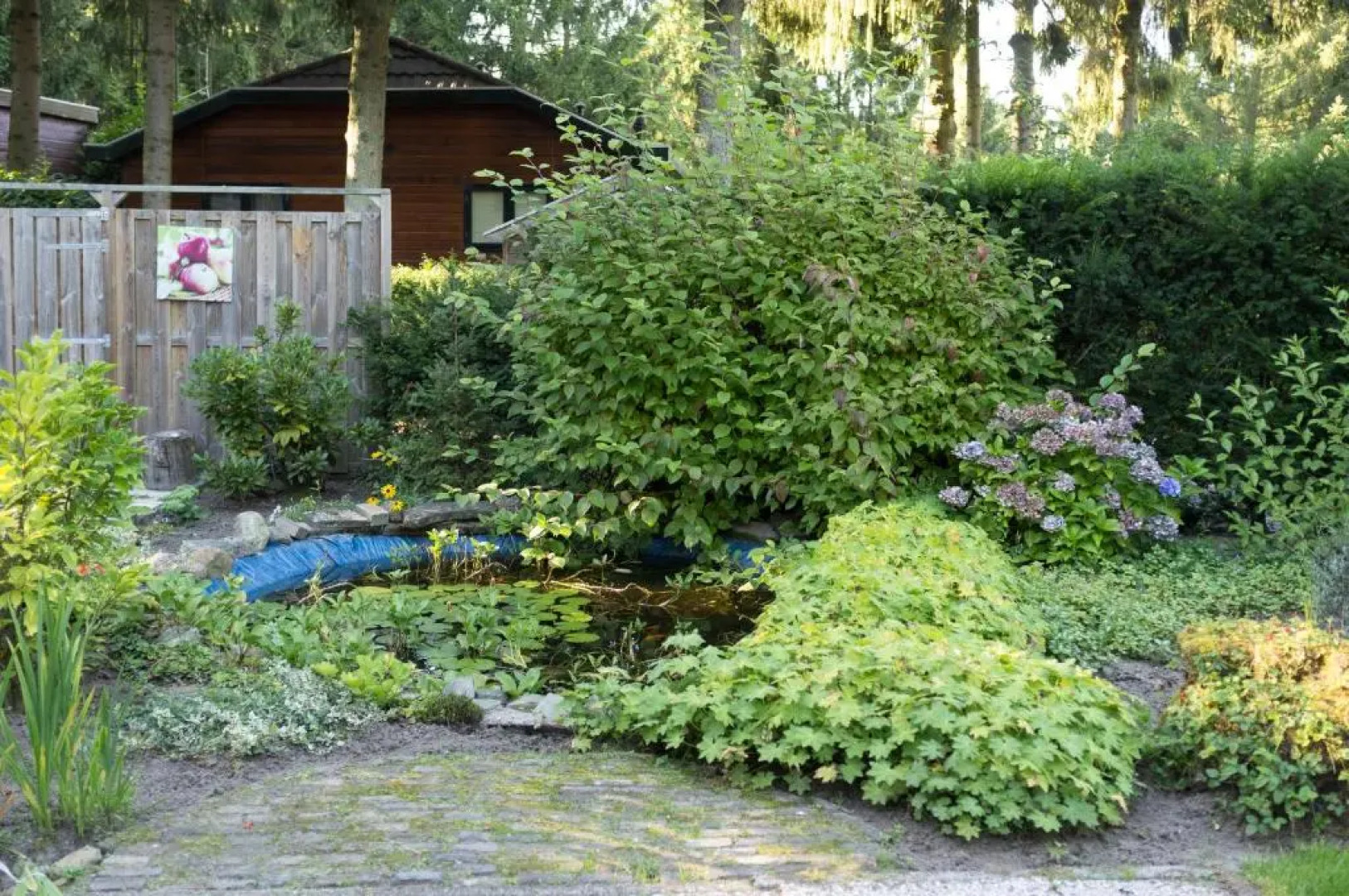 Wonderful place on a quiet spot in the middle of the Netherlands