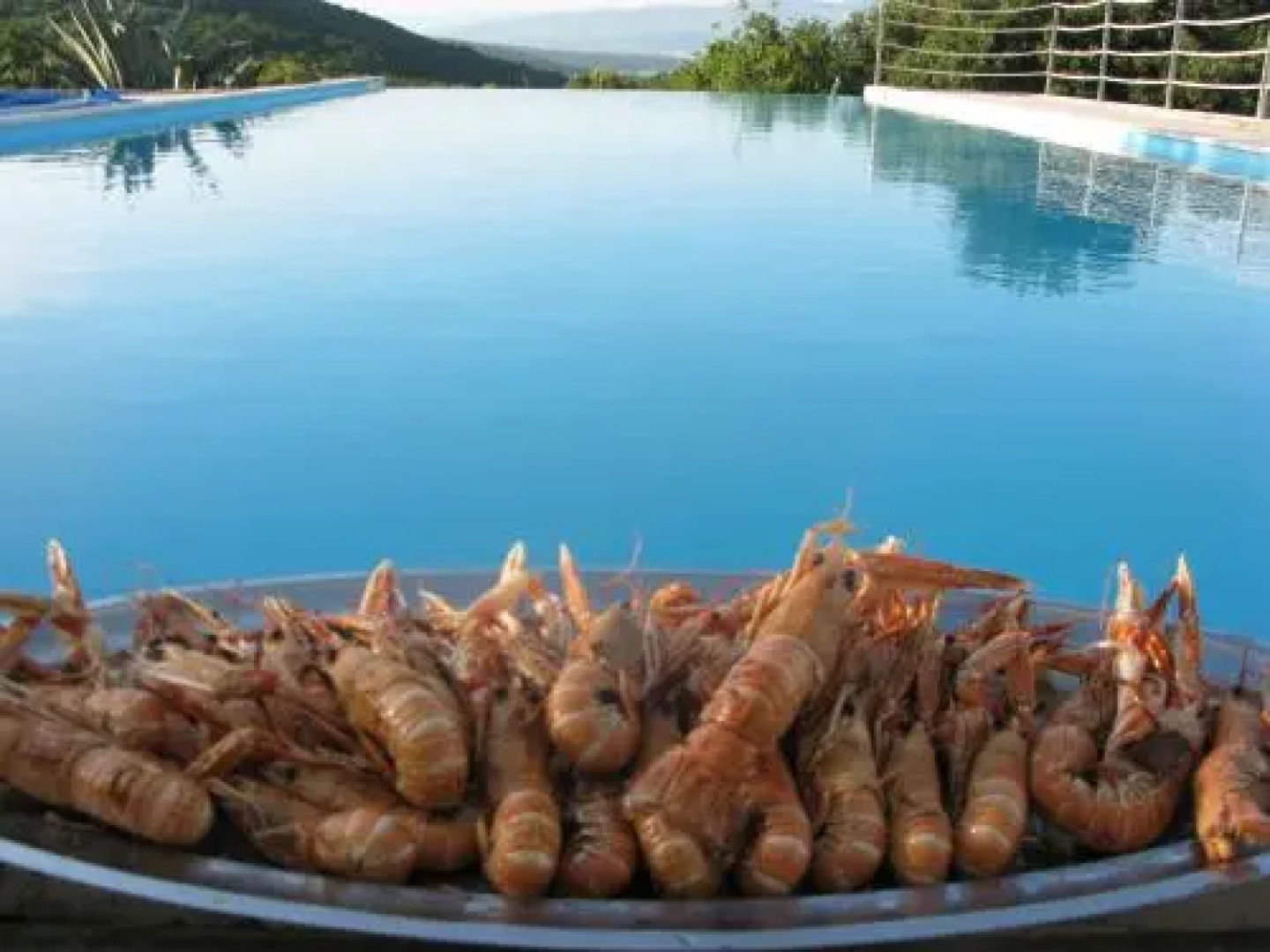 Villa Verbanicum in Vrbnik