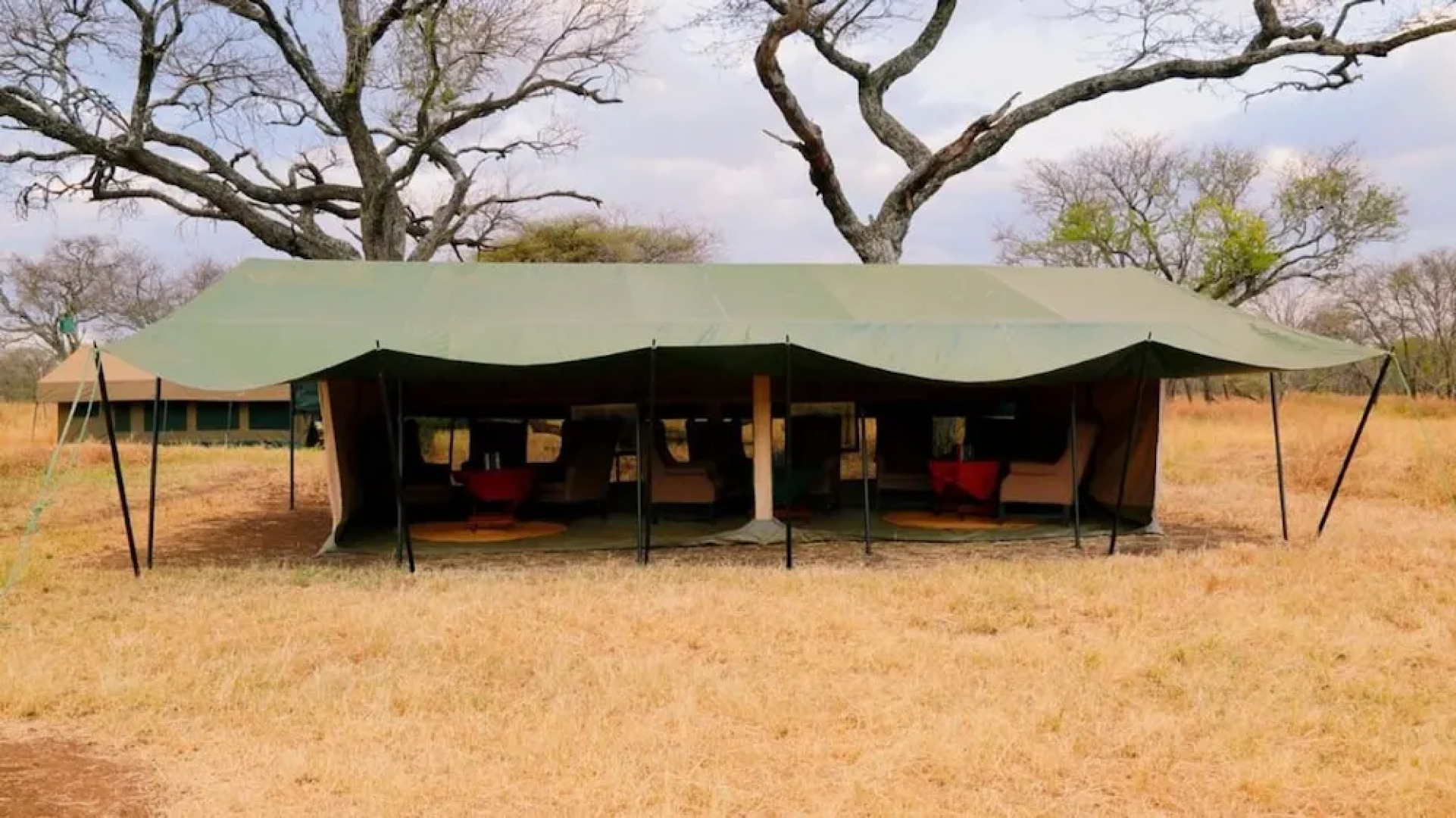 Rongai Eleven Serengeti Camp