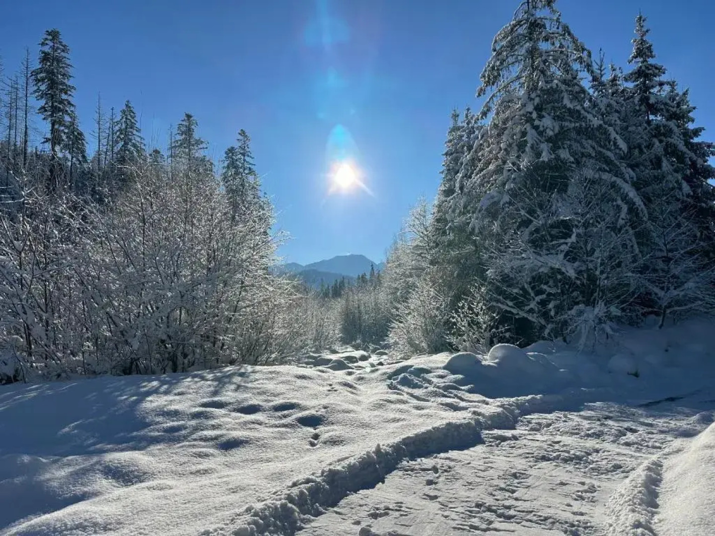 Gościniec nad Suchą Wodą