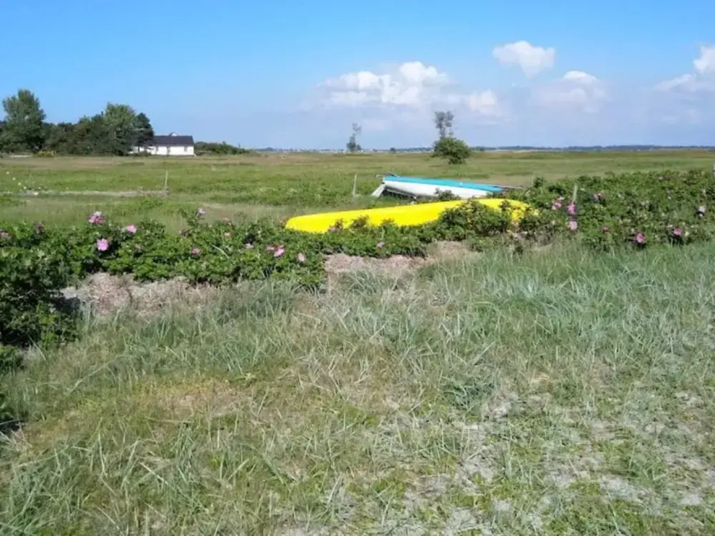 5 Person Holiday Home in Rorvig