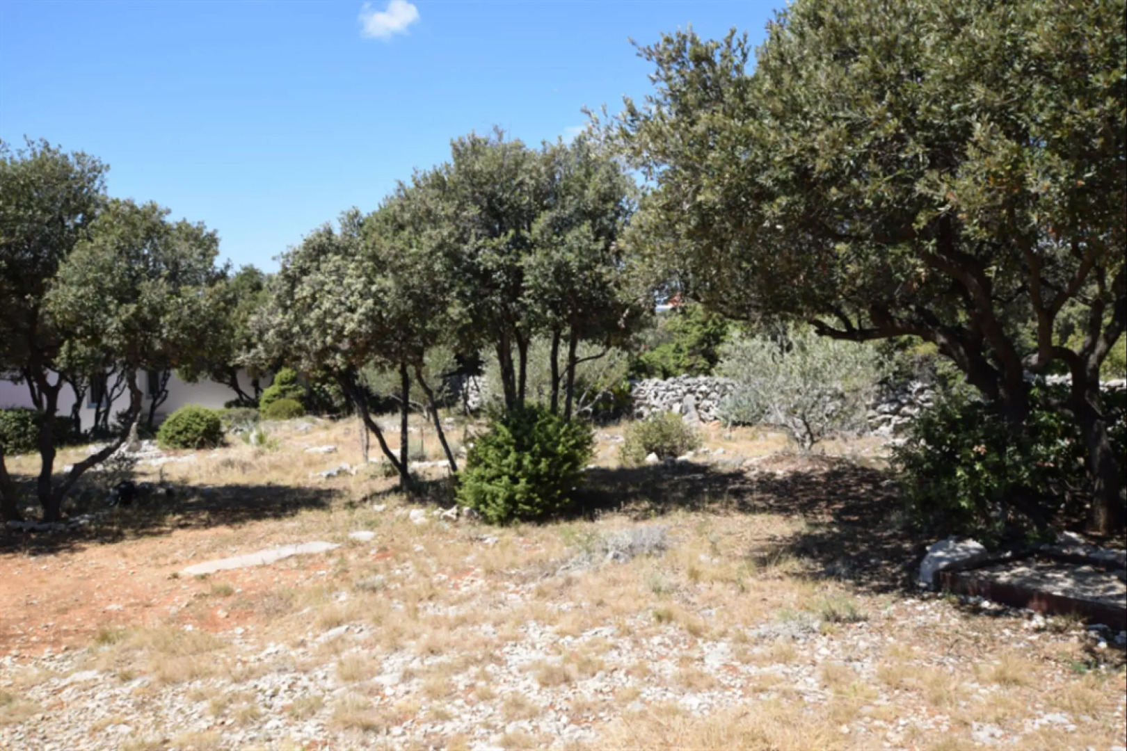 Apartment Petar 5p in Mandre