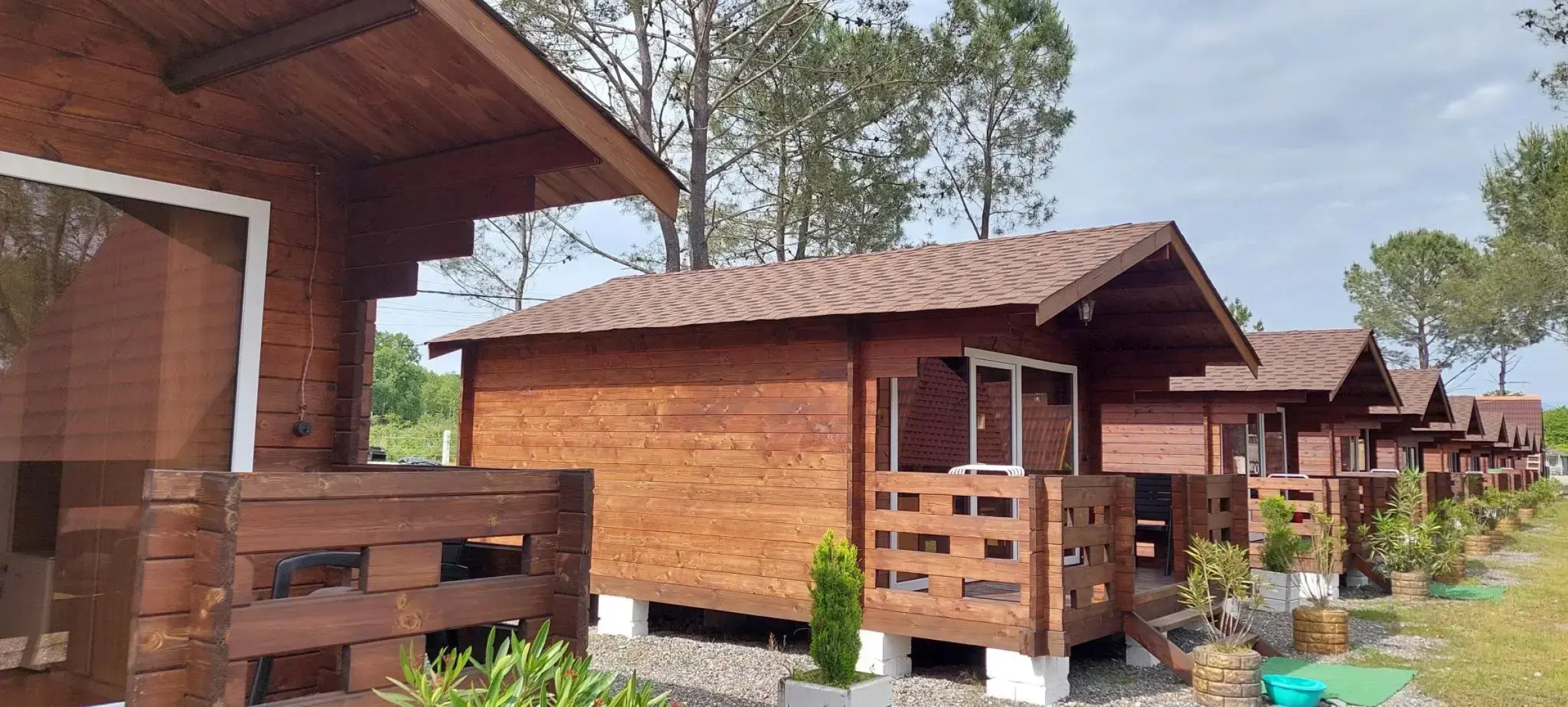 База отдыха Сосновый бор