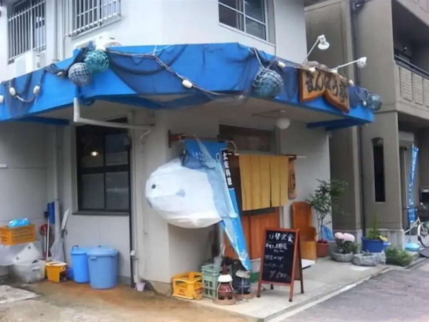 Next International Homestay