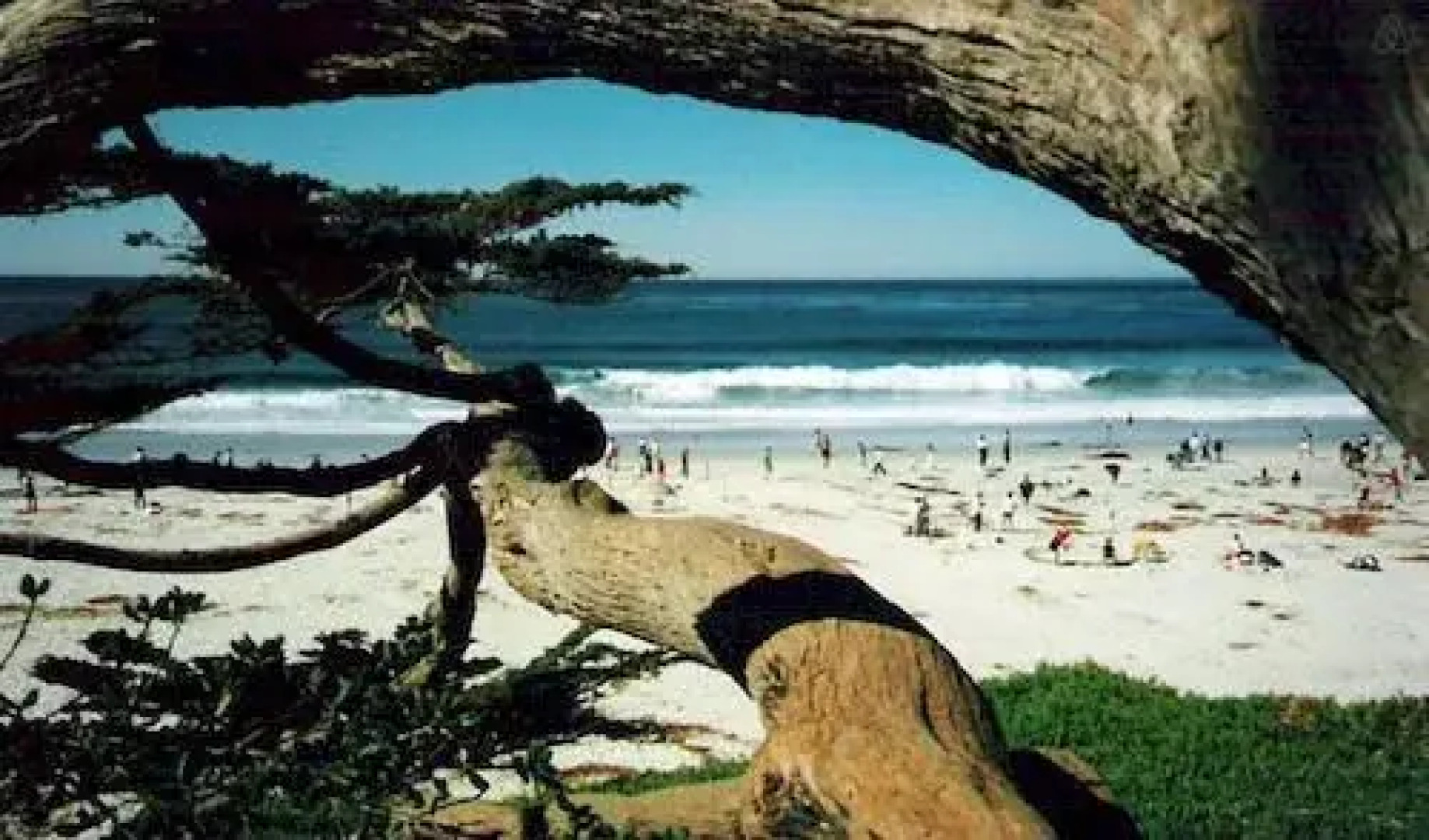 Rustic Cabin like a Treehouse