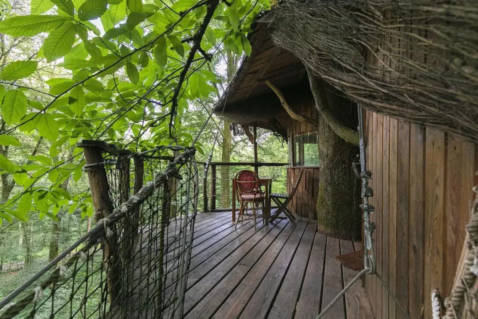 L'Arbre à Cabane