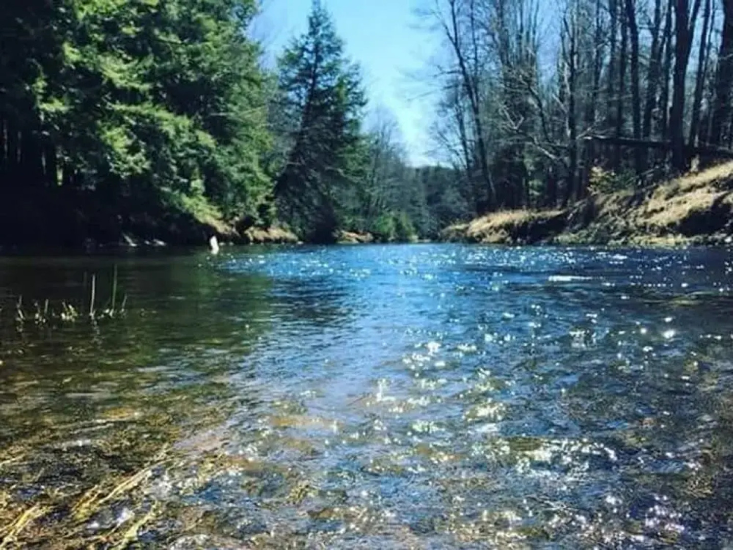 Tentrr - Camp Beaver