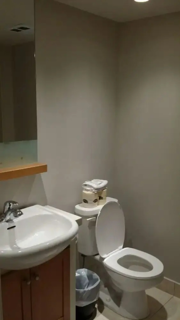 Pelican on the Harbour