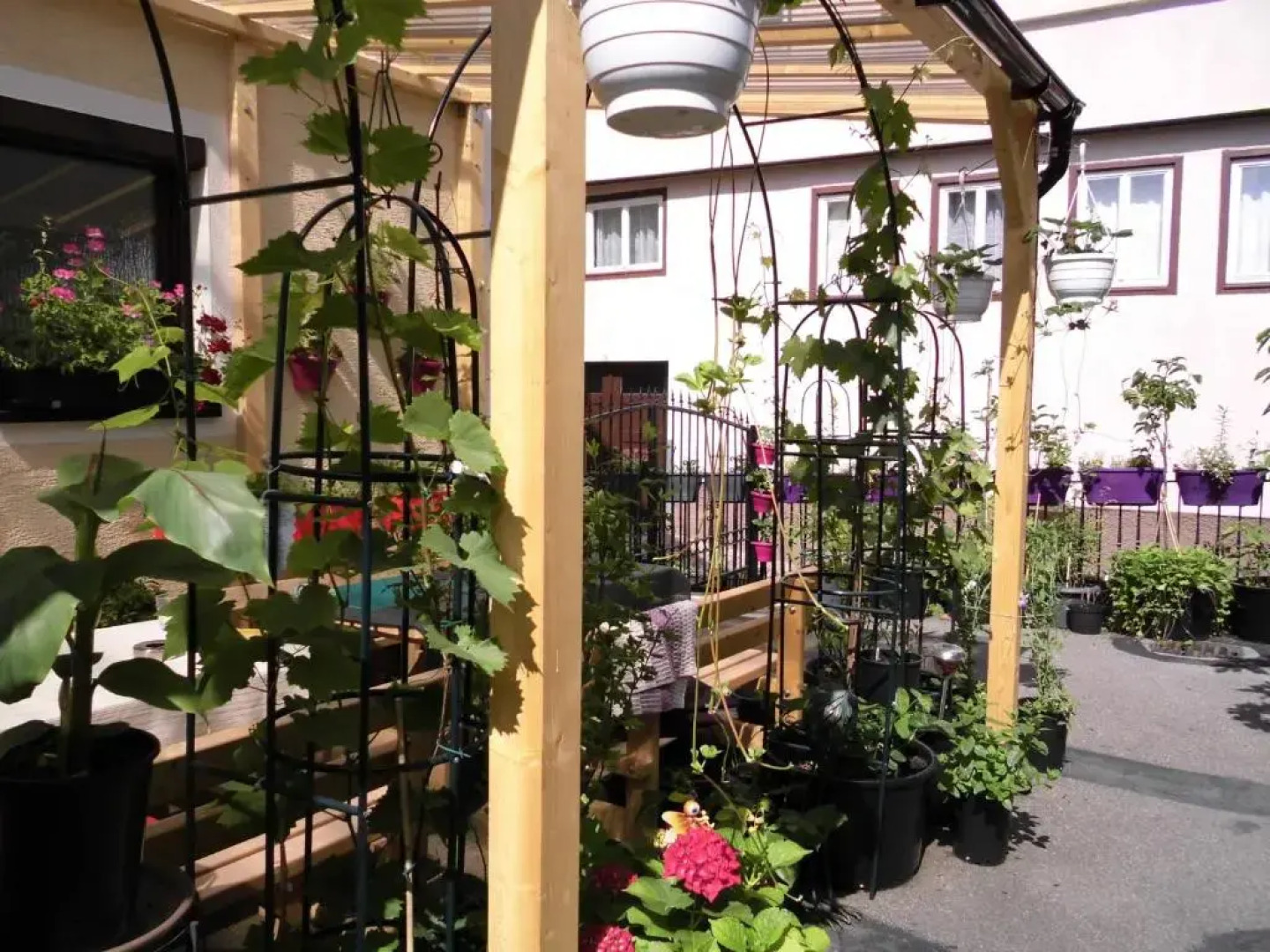 Ferienwohnungen Calwer Höfle