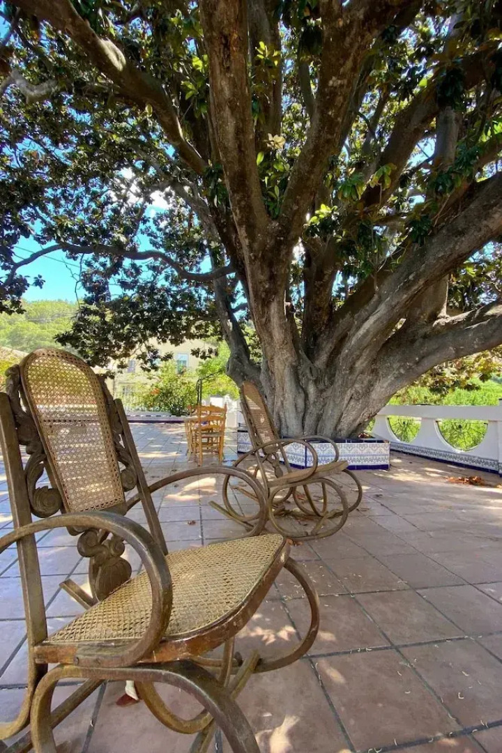 Room-orange Room Your Refuge of Tranqu