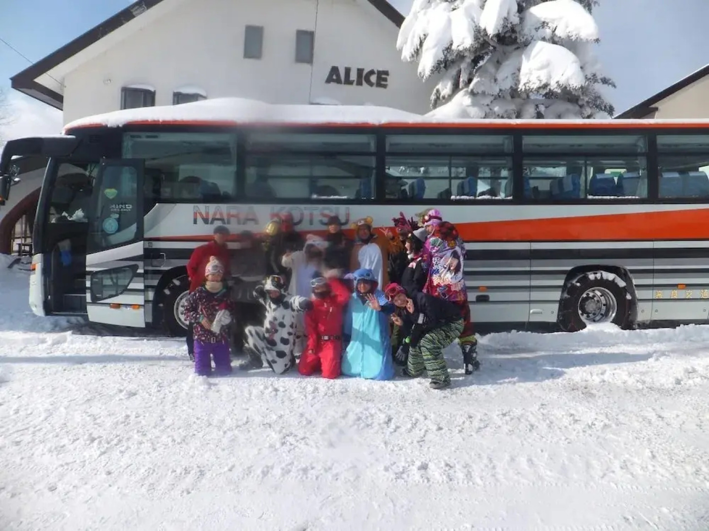 Rental Lodge WHITE RABBIT Madarao kogen Cottage RABBIT