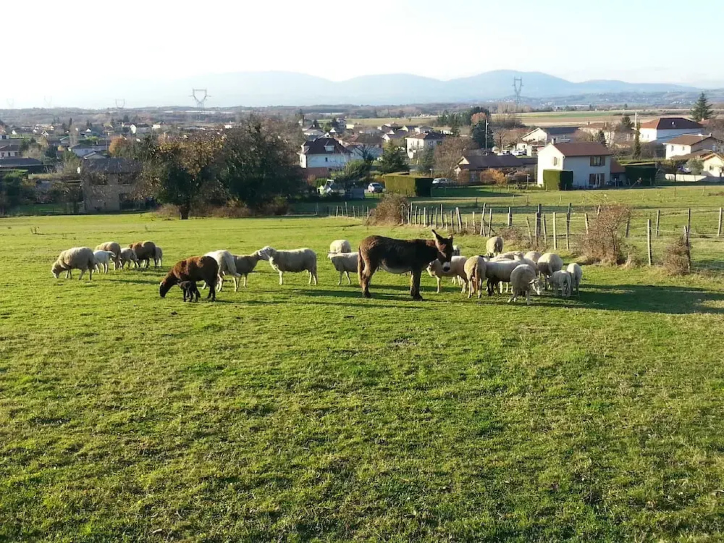 La Petite Ferme des Vitoz