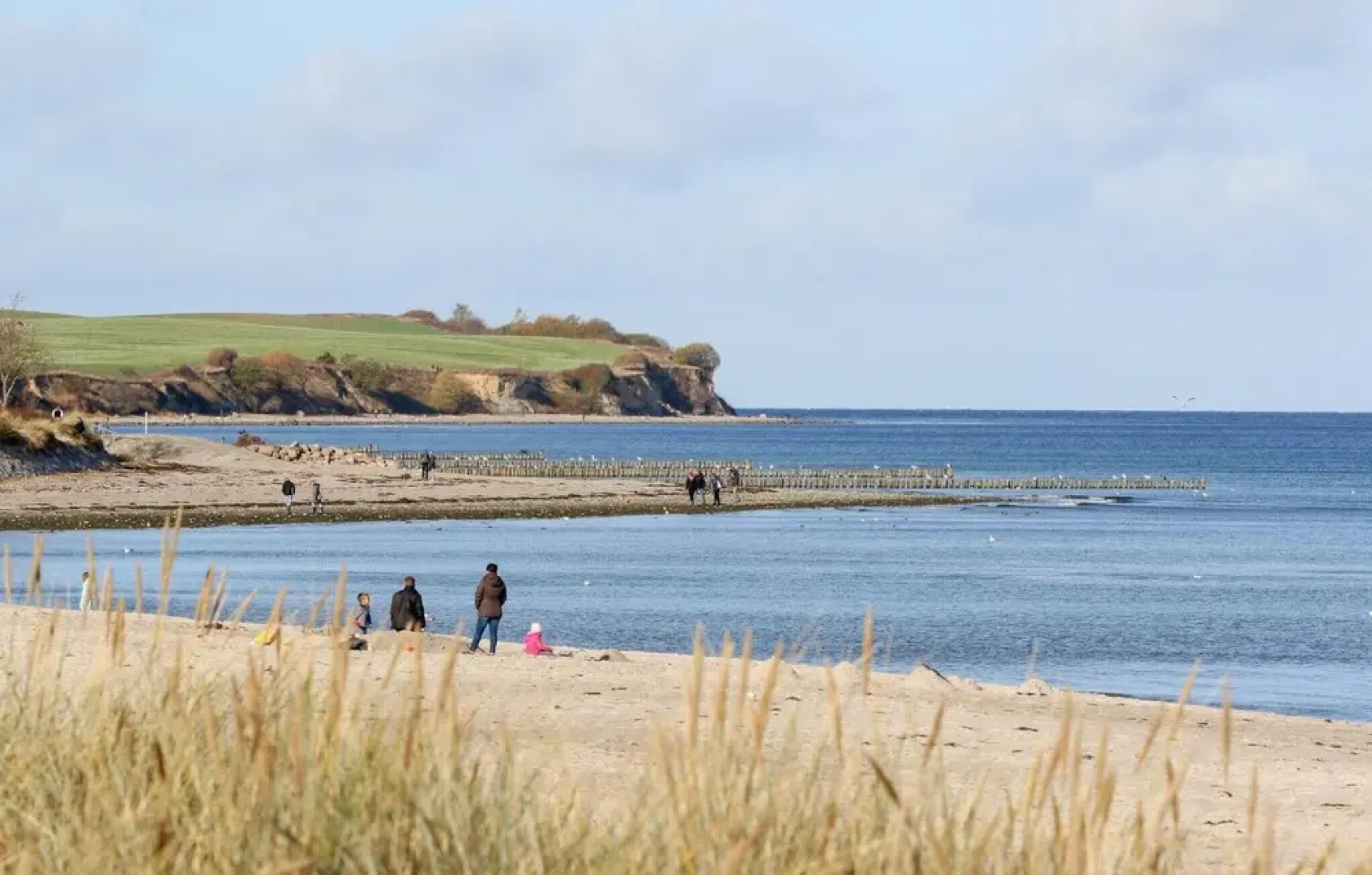 Nice Apartment in Ostseebad Boltenhagen With Sauna, Wifi and 1 Bedrooms