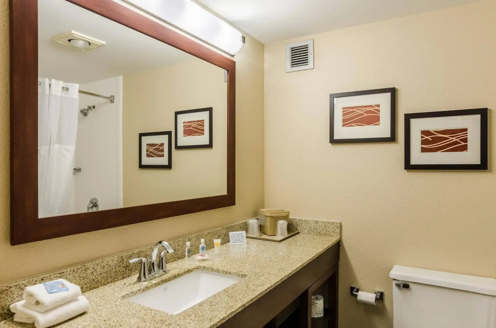Comfort Inn Blacksburg University Area