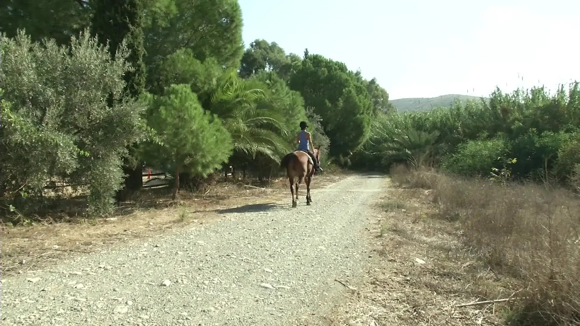 Cyprus Villages Traditional Houses