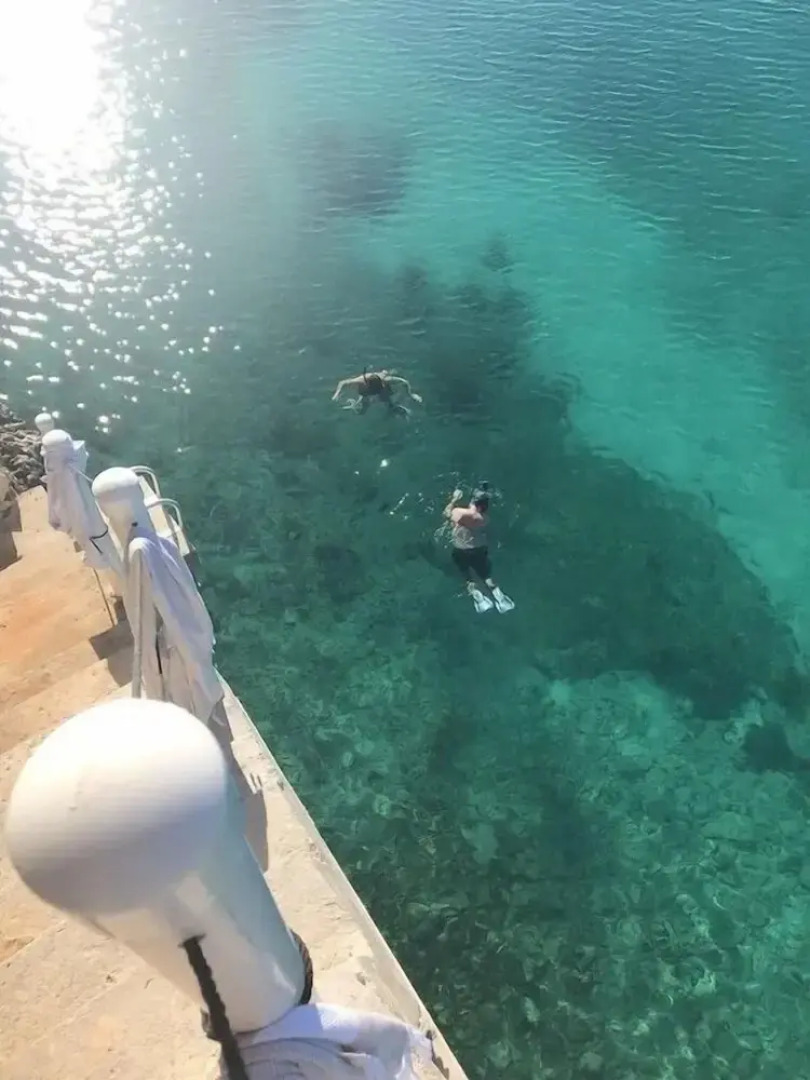 Palm Bluff 2 Bedroom Cottage