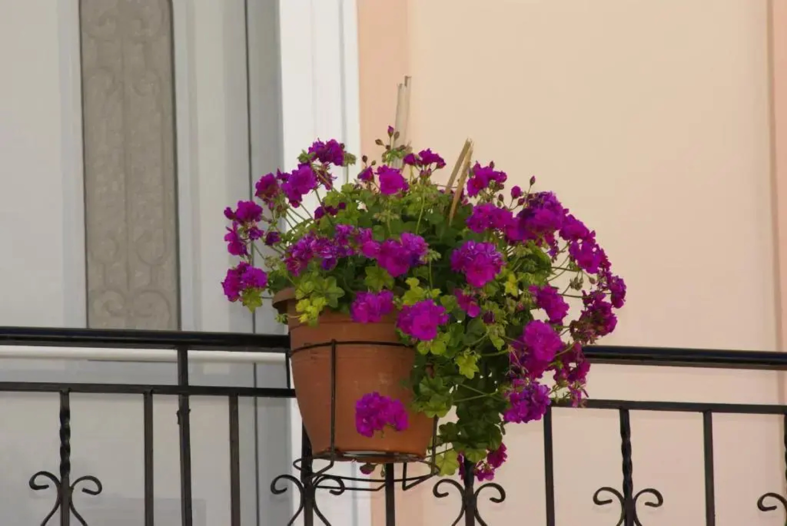 Andrianna Apartments
