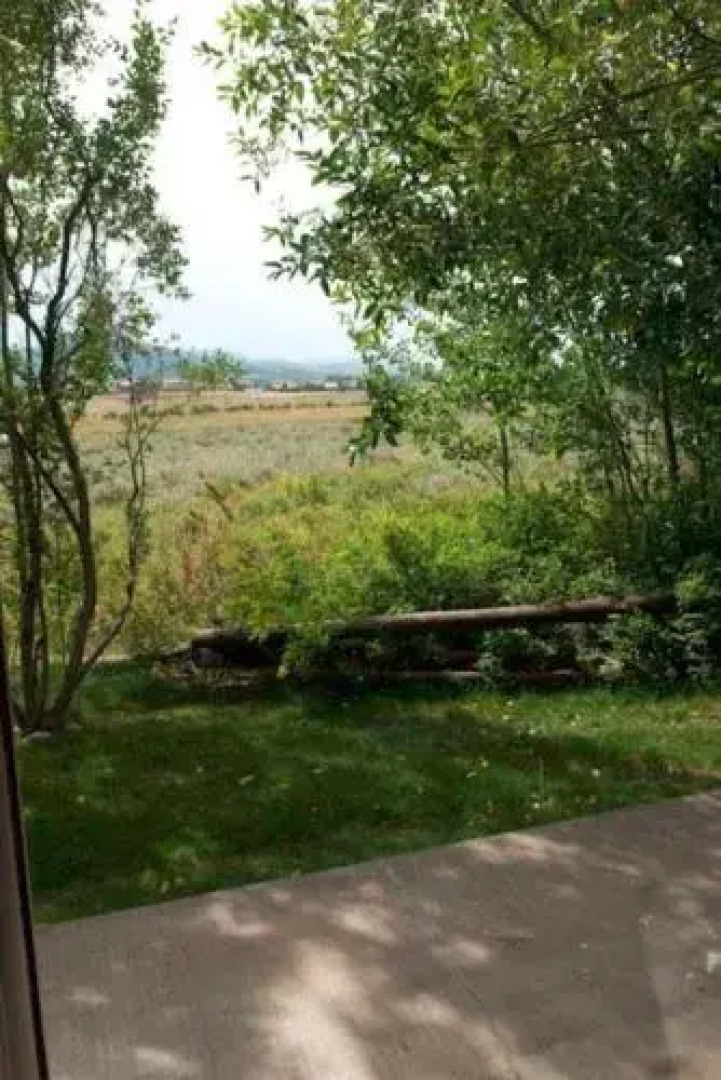 Four Seasons by JHRL