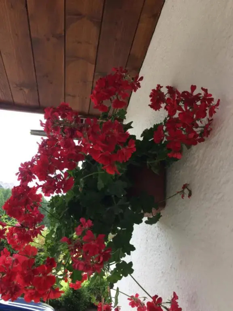 Ca' dello Scoiattolo