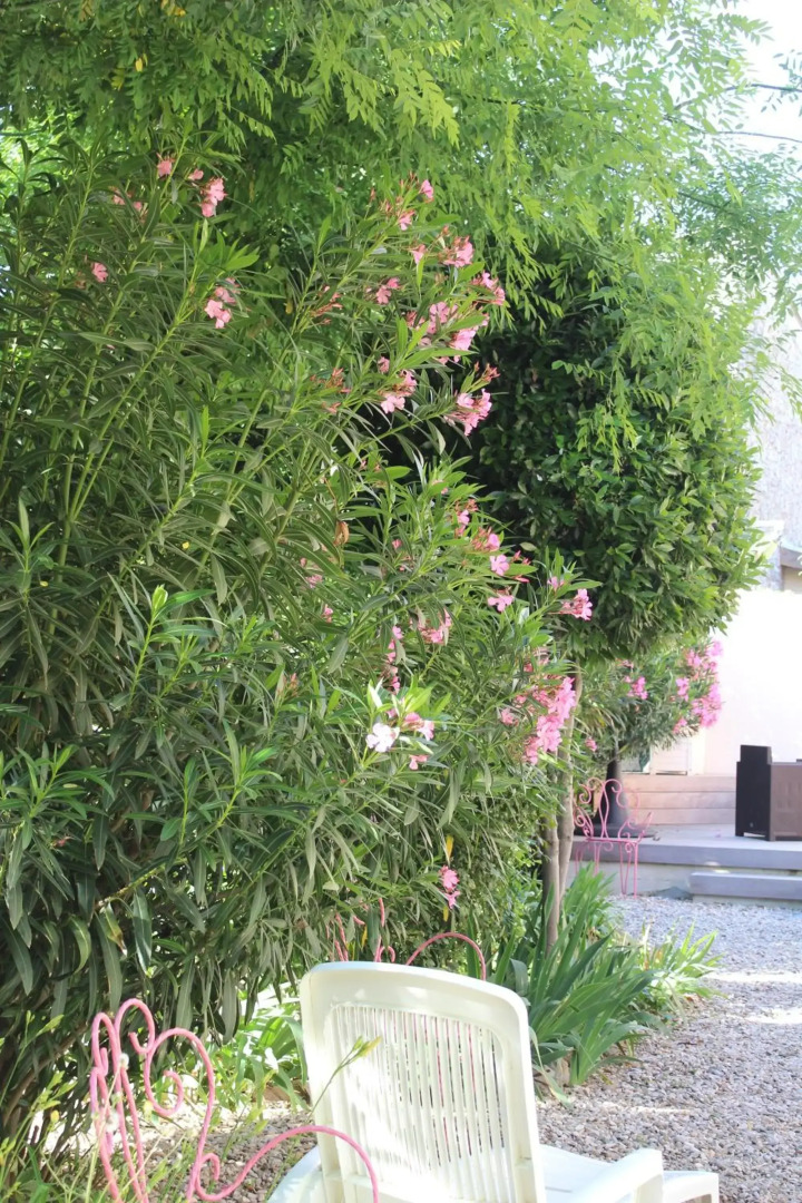 Hotel Restaurant Martinez