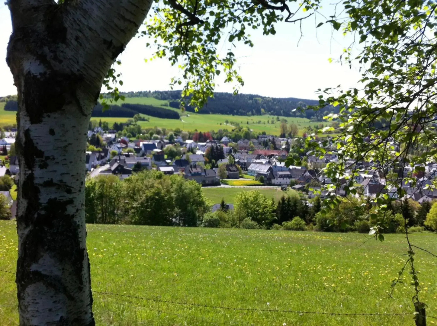 Ringhotel Posthotel Usseln