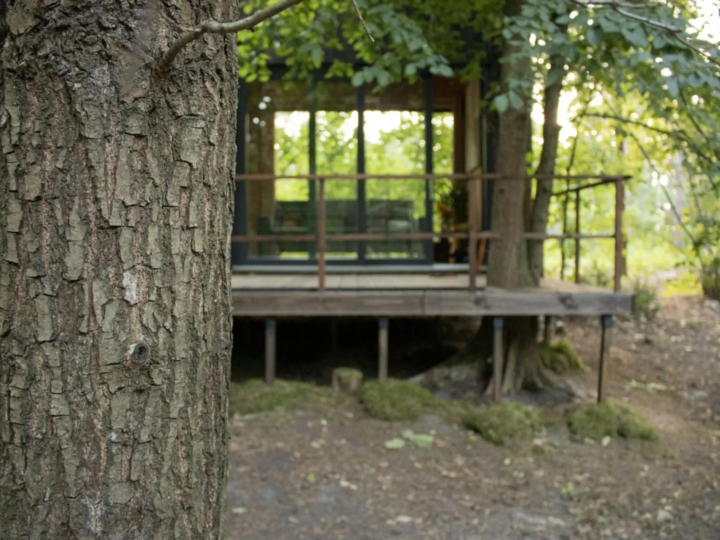 A holiday home in the woods for 4 people.