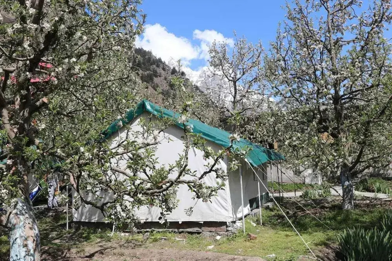 Apple Orchard Farm and Camping