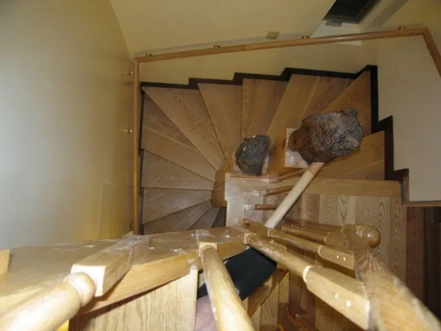 Garden Tower B and B