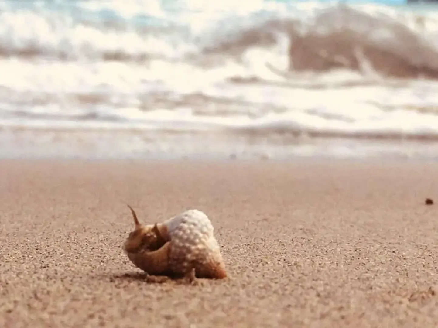 Holiday home Résidence le village du Diamant