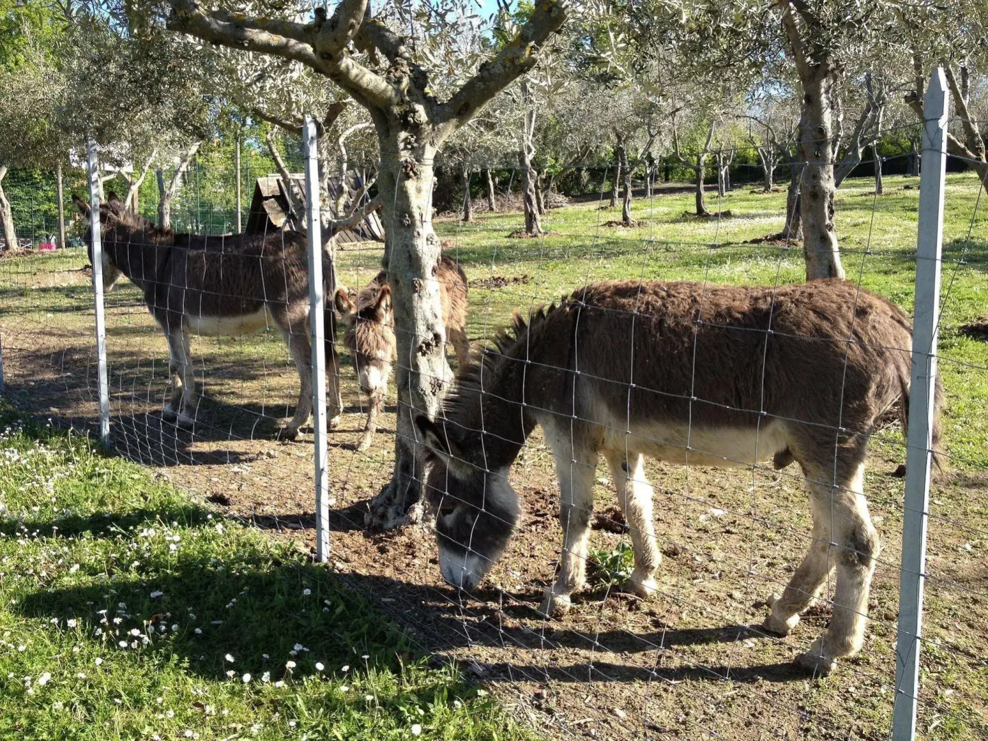 Garden Village San Marino